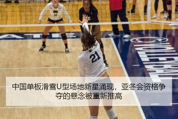 zhong-guo-dan-ban-hua-xue-xing-chang-di-xin-xing-yong-xian-ya-dong-hui-zi-ge-zheng-duo-de-xuan-nian-bei-chong-xin-tui-2-400.jpg